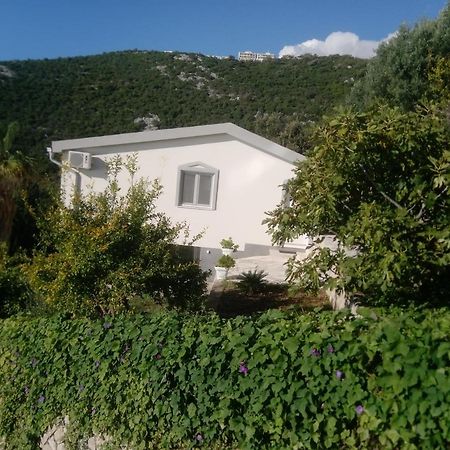 Ferienwohnung Blue Horizon Dobrá Voda Exterior foto